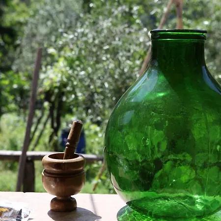 Da Regina Alloggio per agriturismo