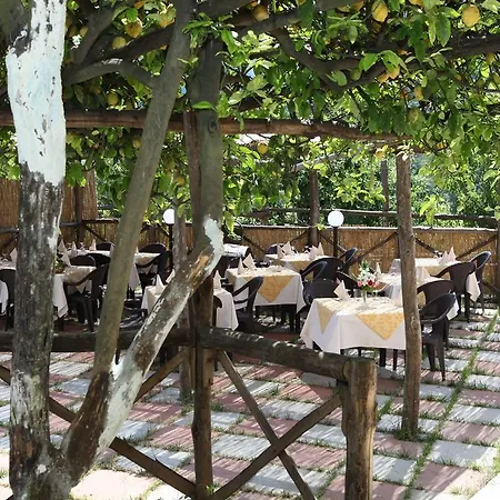 Da Regina Alloggio per agriturismo Tramonti