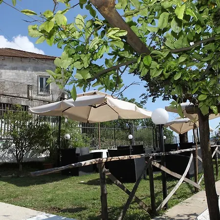 Da Regina Alloggio per agriturismo *