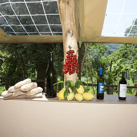Da Regina Alloggio per agriturismo *